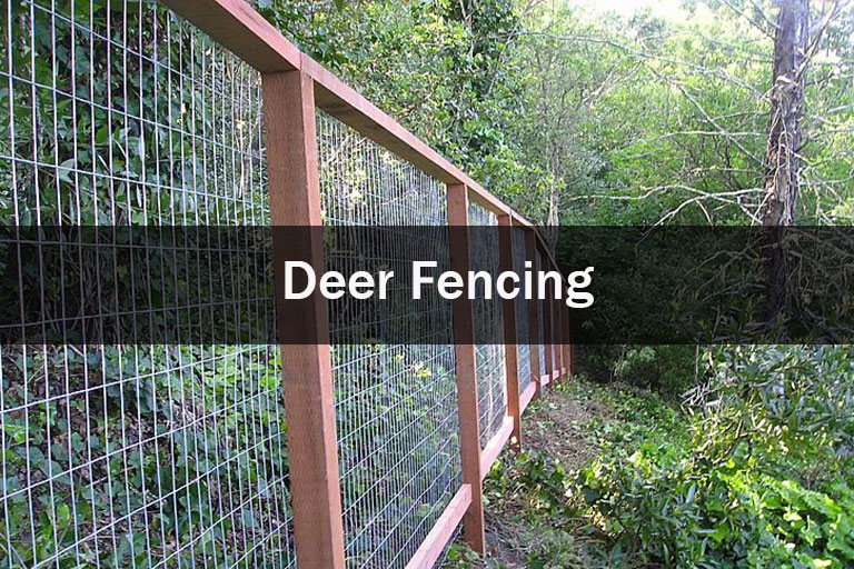 deer fencing